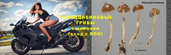 а пвп мука Вязники
