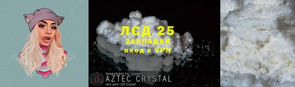 прущие грибы Горнозаводск