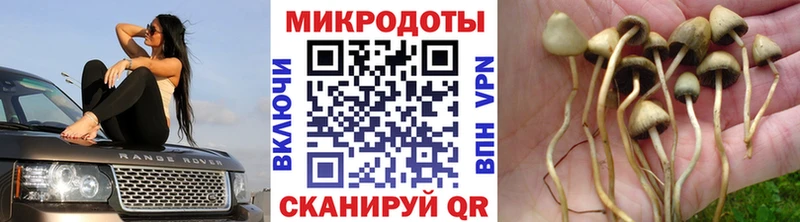 Купить закладки  Касли  Галлюциногенные грибы мухоморы 