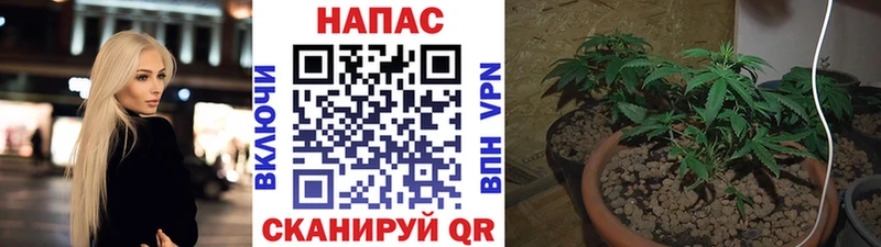 Конопля марихуана  Купить где  Касли 